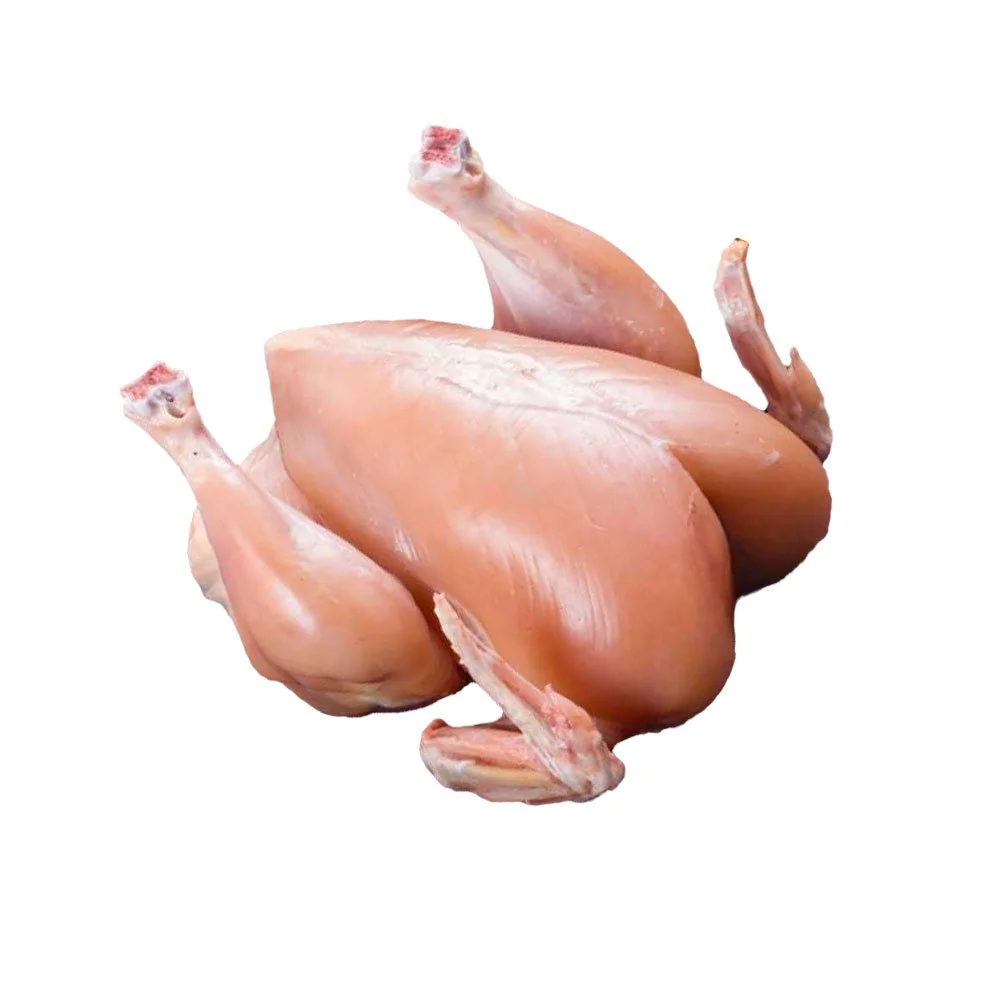 ISO Certified Broiler Chicken